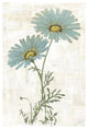 "Bloemen Boek VIII" Digital Paper Print by Sue Schlabach, 22"x32"
