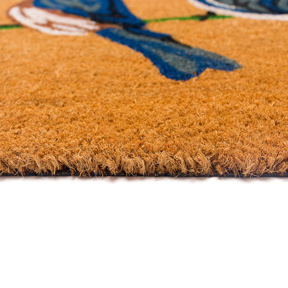 Natura Blue Birds Outdoor Mat Natural 2'x3'