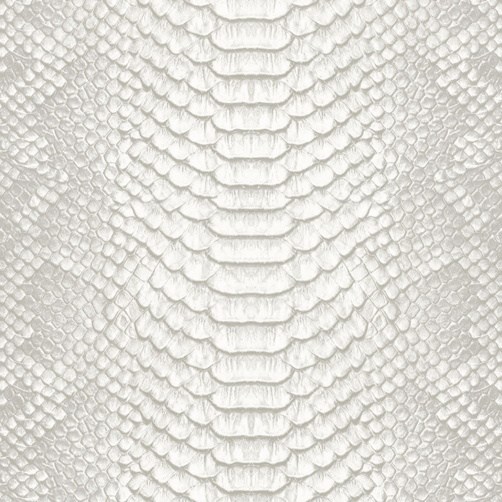6' Tall Double Sided White Snake Print Canvas Room Divider