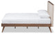 Bella Light Beige Fabric and Walnut Brown Finished Wood Queen Size Platform Bed