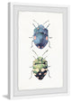 "Beetle Pair" Framed Painting Print, 20"x30"
