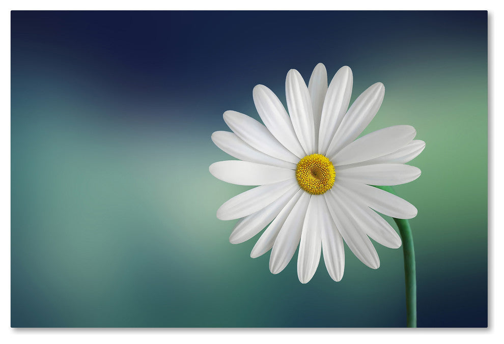 Bess Hamiti 'Flower' Canvas Art, 24x16