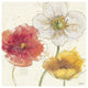 "Painted Poppies IV" Digital Paper Print by Katie Pertiet, 42"x42"