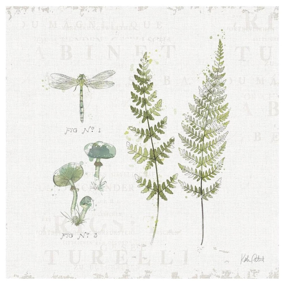 "In the Forest VI" Digital Paper Print by Katie Pertiet, 20"x20"