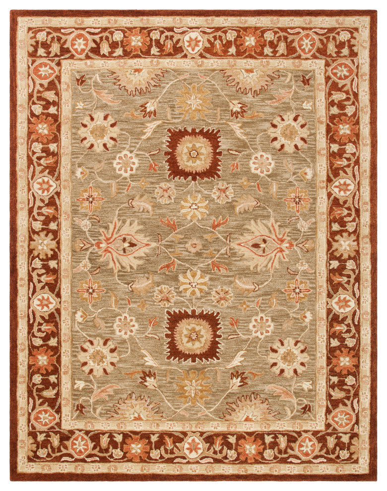 Safavieh Anatolia Collection AN556 Rug, Sage/Burgundy, 9'x12'