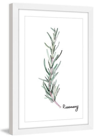 "Herb Rosemary" Framed Painting Print, 20"x30"
