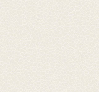 Nadie White Wallpaper