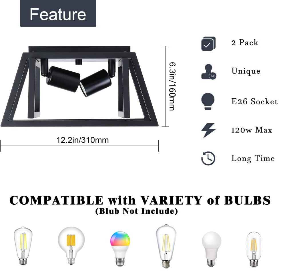 2 Pack, Black, 2 Light Ceiling Lamp, Farmhouse