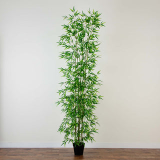 Another lifestyle shot showing the bamboo tree in a home setting; full product visible.