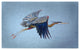 Betsy Drake Eddie''s Blue Heron Door Mat 30x50