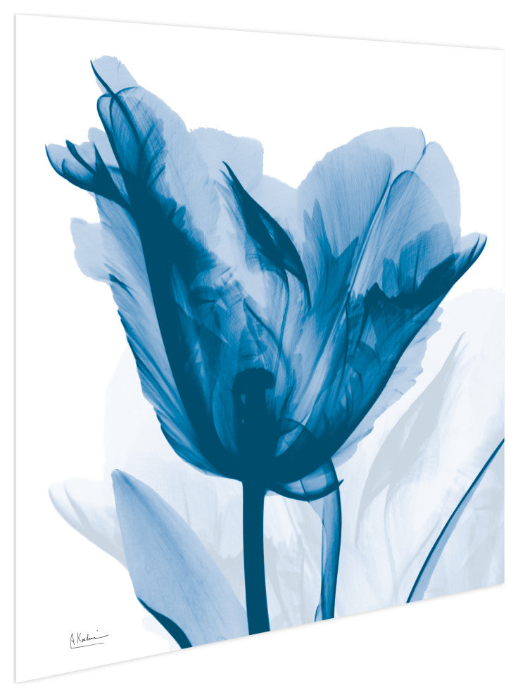 "Lusty Blue Tulip" Frameless Free Floating Panel Graphic Wall Art, 24"x24"