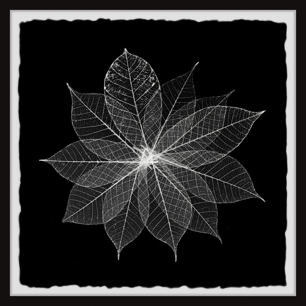 "Leaf Splash" Framed Painting Print, 18x18