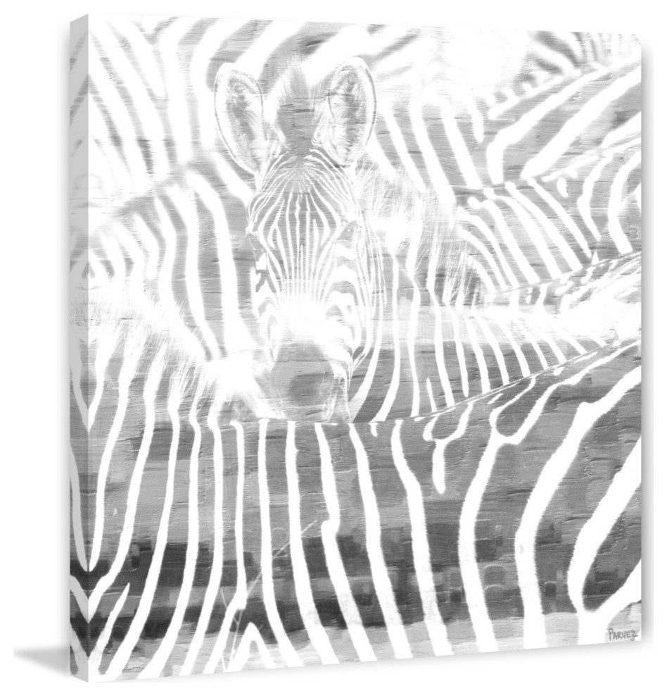 "Zebra Stare" Print on Canvas, 48"x48"