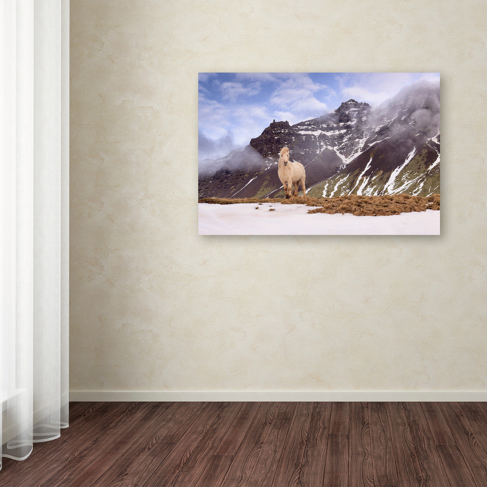 Michael Blanchette Photography 'You Looking At Me' Canvas Art, 47x30