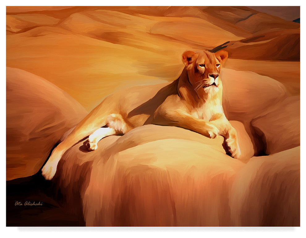 "Lioness On A Rock 2" by Ata Alishahi, Canvas Art, 24"x18"