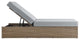 Convene Outdoor Patio Outdoor Patio Chaise Lounge Chair, Cappuccino Gray