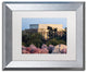 CATeyes ''Washington Spring Morning'', Silver Frame, White Mat, 14x11