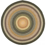 Safavieh Braided BRD308 Rug Machine-Washable, Multi, 7' Round