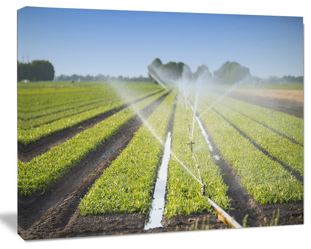 Beautiful View of Crops Watering, Large landscape Canvas Art Print, 60x40