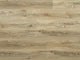 Backing Spc Durable Flooring Planks, Argent Ash 4Mmx7"X48", 20Mil Wear Layer