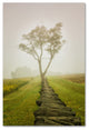 PIPA Fine Art 'Calming Morning' Canvas Art, 32x22