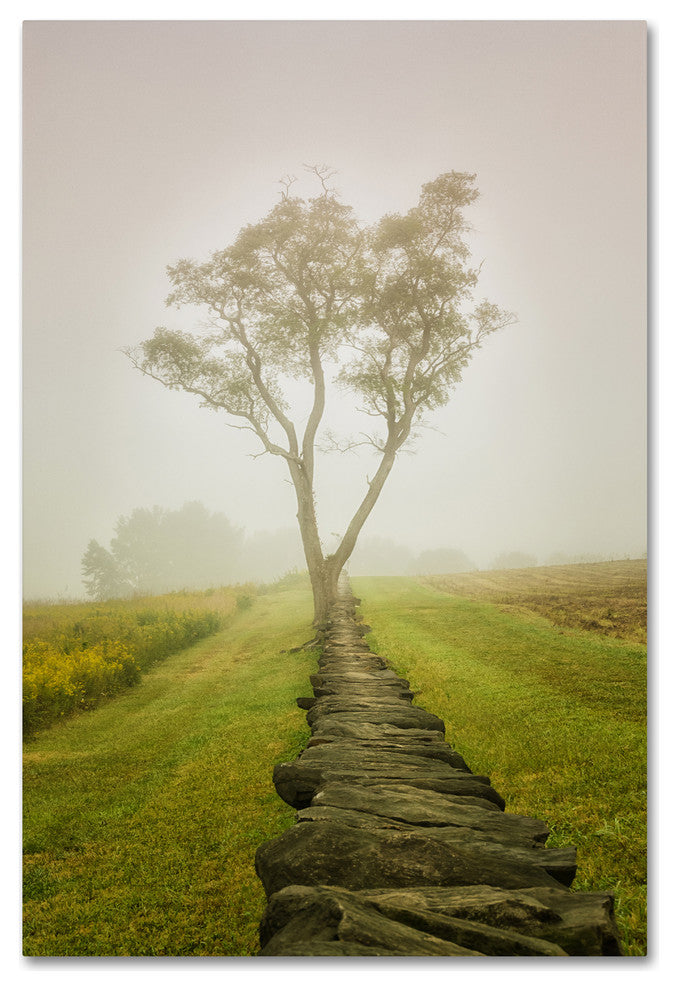 PIPA Fine Art 'Calming Morning' Canvas Art, 32x22