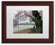 CATeyes 'Arched Blossoms' Matted Framed Art, 11x14