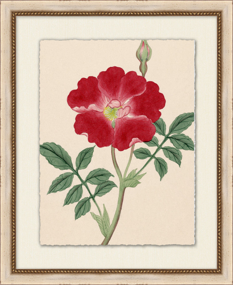 Prisma Floral 16, Giclee Reproduction Artwork