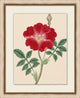 Prisma Floral 16, Giclee Reproduction Artwork