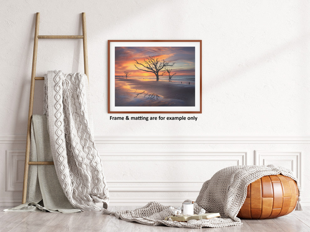 Sunrise and Trees At Edisto Island Coastal Landscape Photo Loose Wall Art Print, 11" X 14"