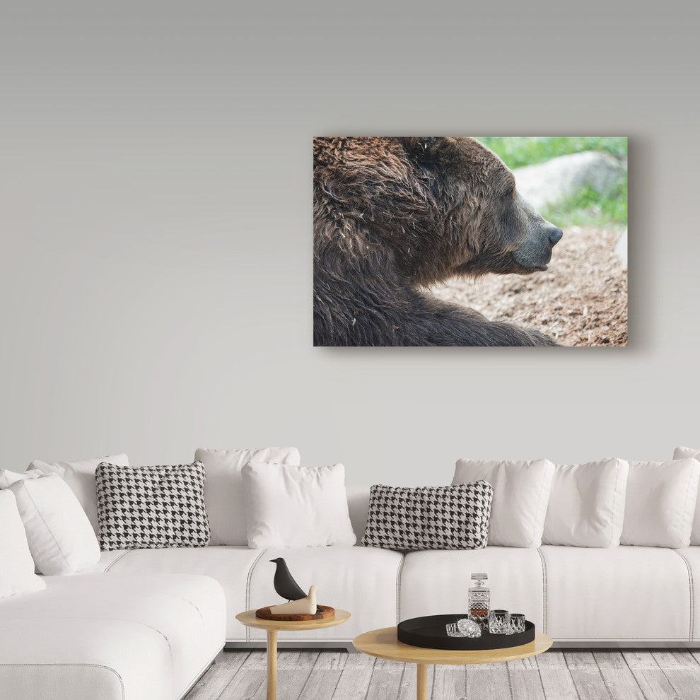 "Brown Grizzly Bear" by Robert Michaud, Canvas Art
