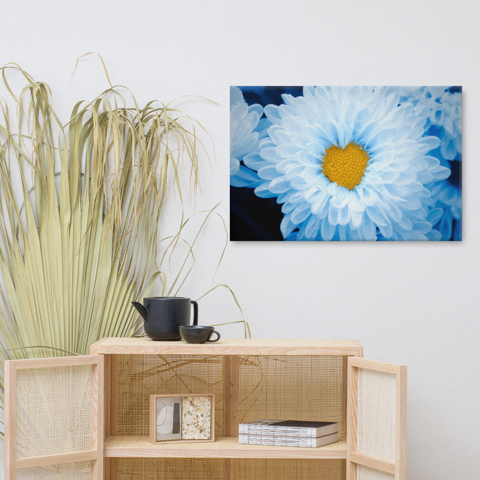 Blue Tinted Chrysanthemums Nature Photo Botanical Floral Canvas Wall Art Print, 24" X 36"