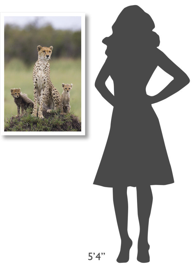 "Cheetah mother and 8-9 week old cubs, Maasai Mara Reserve" Paper Art, 22"x32"