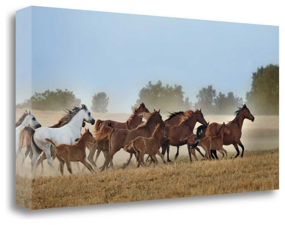 "Freedom" By Xavier Ortega, Giclee Print on Gallery Wrap Canvas, Ready to Hang