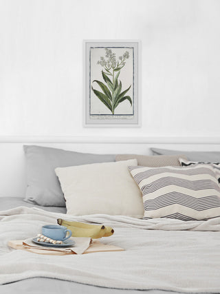 "Sweet Rocket Matronalis" Framed Painting Print, 24"x36"