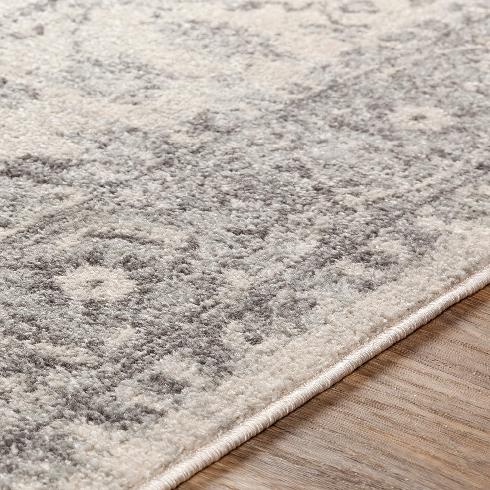 Surya Chester CHE-2312 Traditional Area Rug, 9' x 12' Rectangle