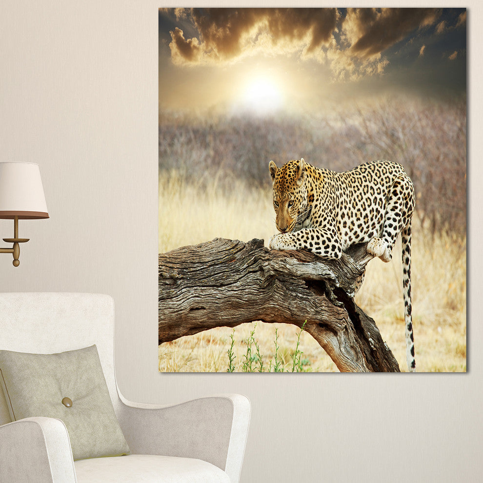 Leopard Relaxing on Tree, African Canvas Art Print, 30"x40"