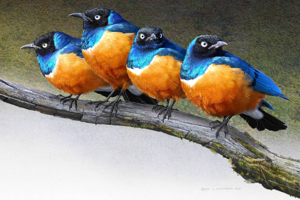 "Grumpy Starlings" Painting Print on Canvas by Chris Vest