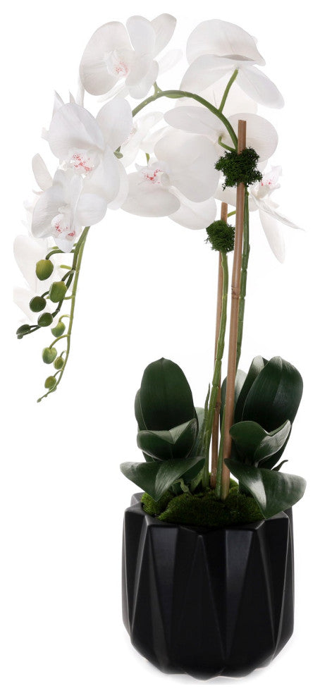 Real Touch Phalaenopsis Orchids in Black Dimensional Pot