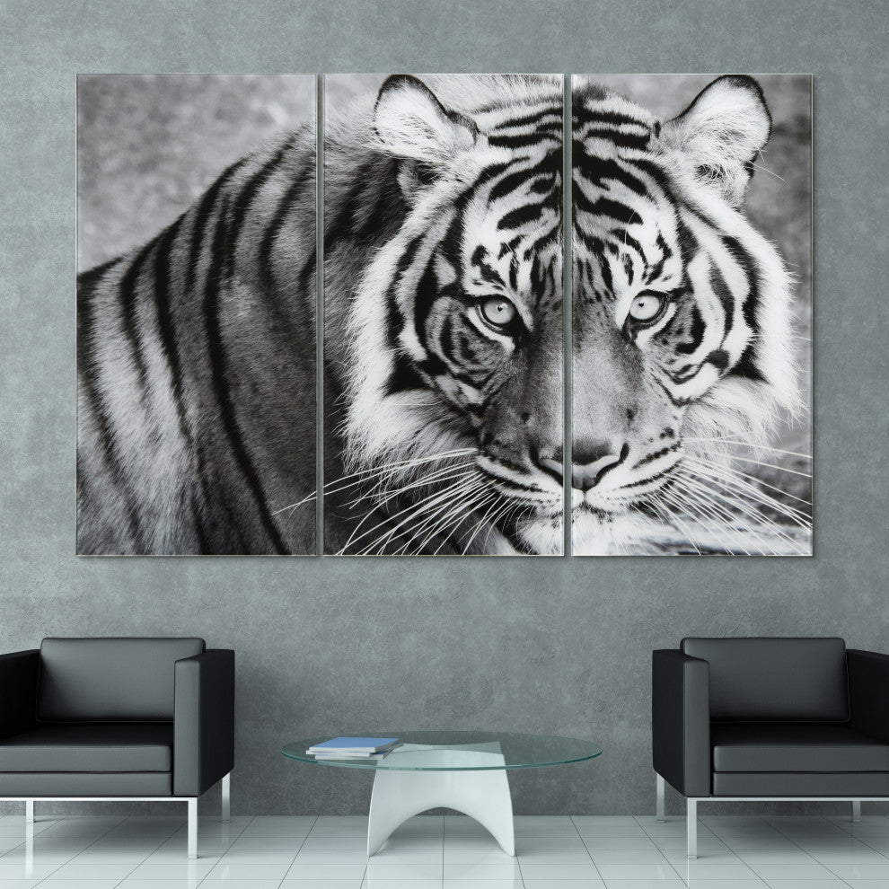 "Tiger ABC" Frameless Free Floating Tempered Glass Panel Graphic Wall Art Set
