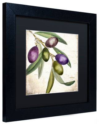Color Bakery 'Olive Branch I' Matted Framed Art, Black Frame, Black Mat, 11x11