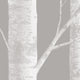 Birch Tree Peel and Stick Vinyl Wallpaper, White Gray, 24" X 60"