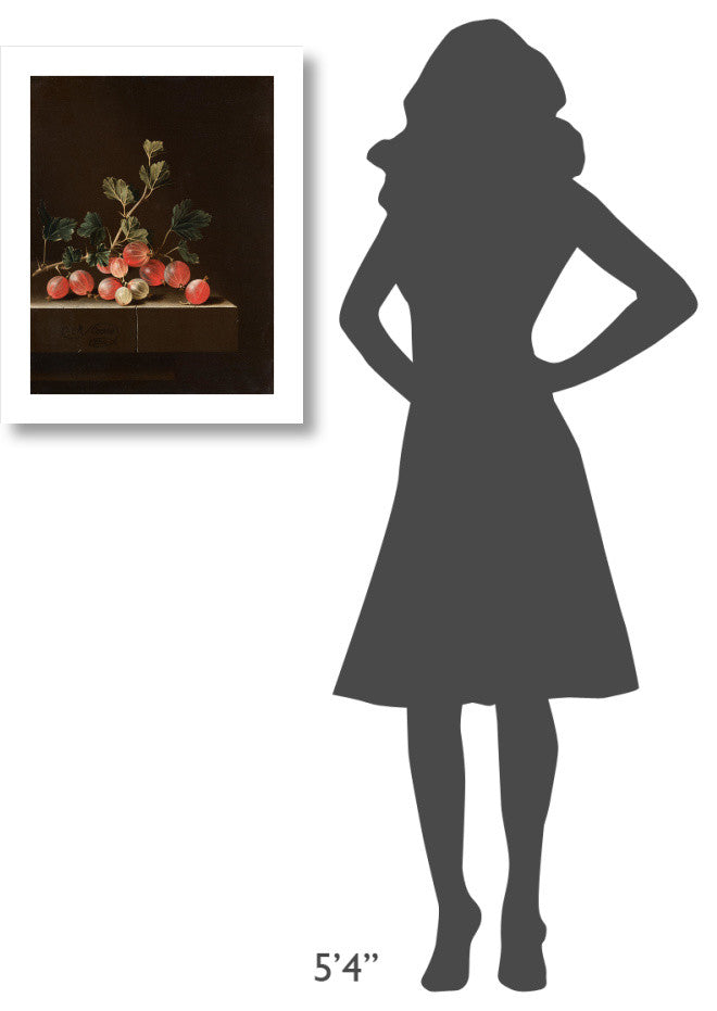 "Gooseberries on a Table, 1701" Digital Paper Print by Adriaen Coorte, 19"x24"