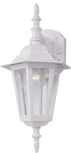 Builder Cast 1-Light Outdoor Wall-Mount Sconce, White, Clear