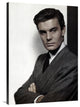"Louis Jourdan" Stretched Canvas Giclee by Hollywood Photo Archive, 29x40"