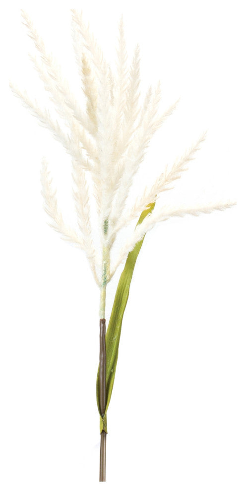 Astilbe Stem, Set of 6