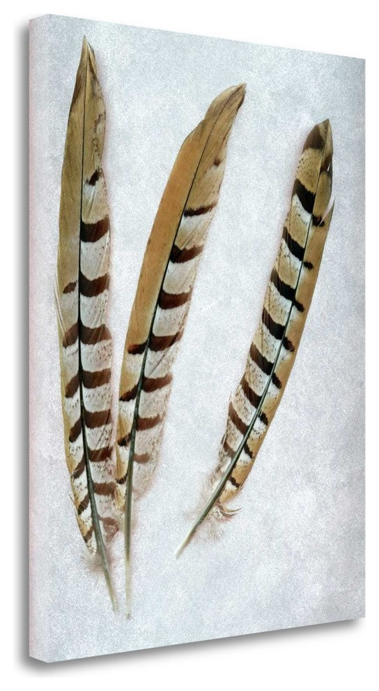 "Feather - 1" By Alan Blaustein, Giclee Print on Gallery Wrap Canvas