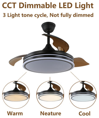 42" Modern Drum Ceiling Fan with Retractable Blades, 3-speed, light and Remote, Black