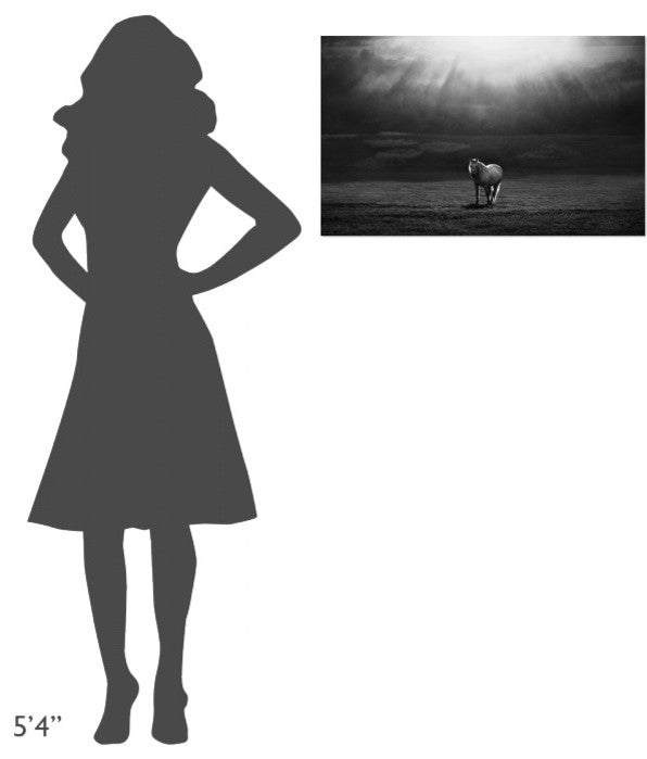 "Morning Appearance" Stretched Canvas Giclee by Peter Svoboda, 30"x19"