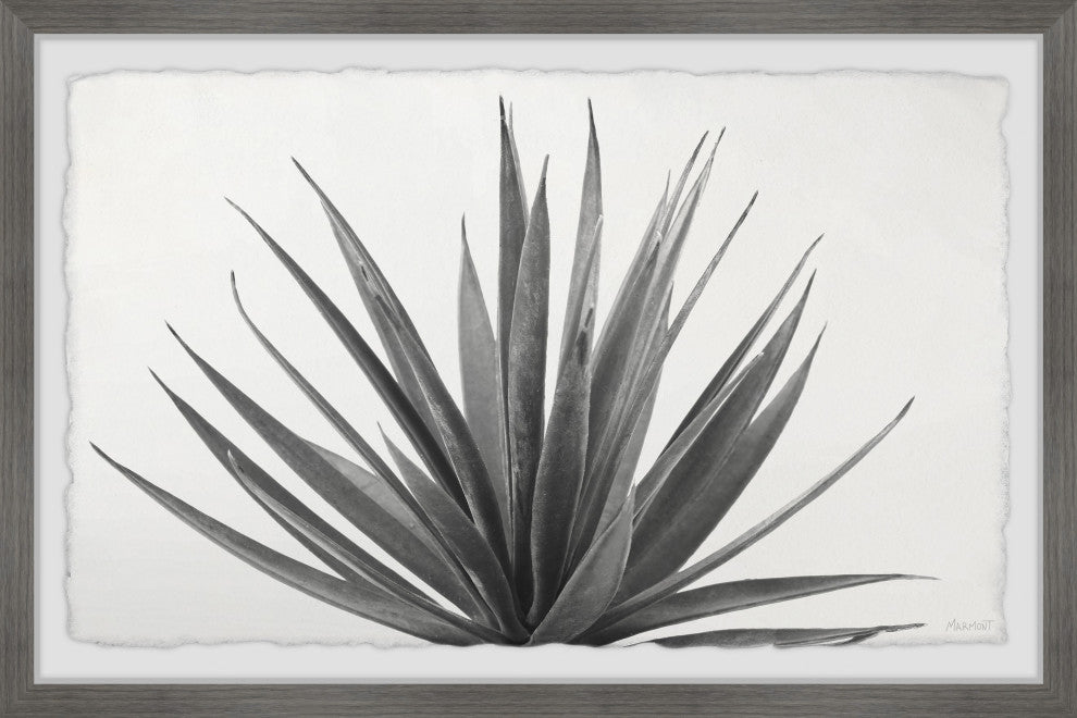 "Marginata" Framed Painting Print, 24x16